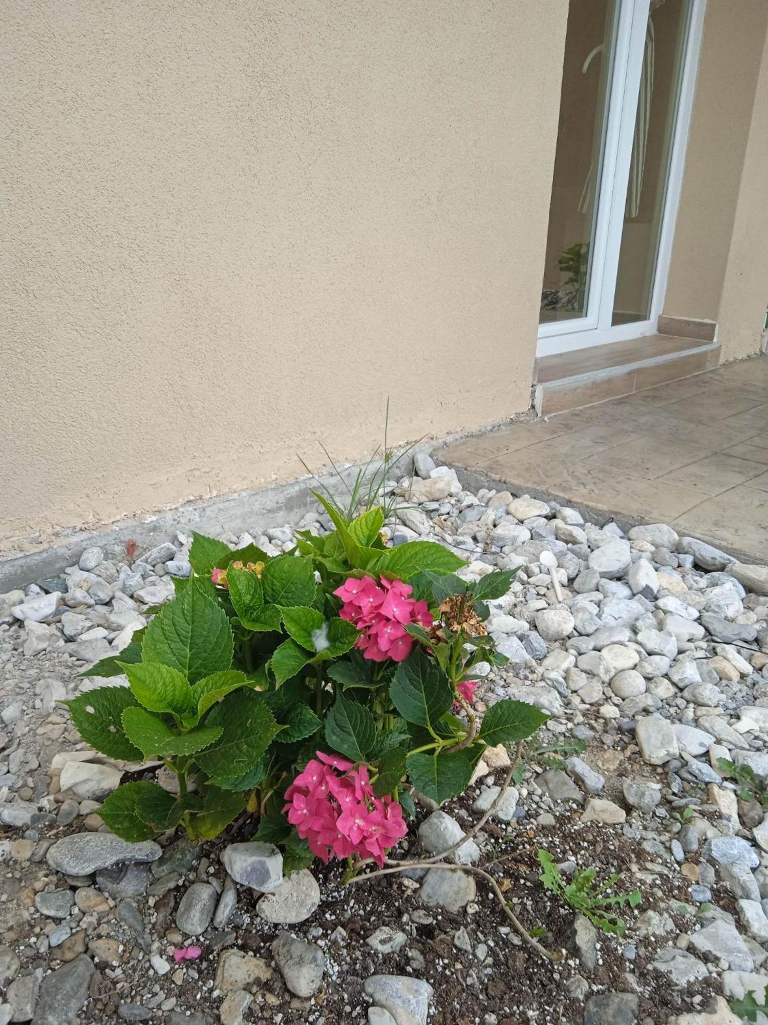Sylias Village Skala Korinou Dış mekan fotoğraf